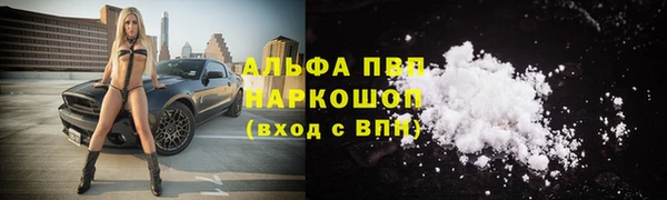 гидра Ладушкин