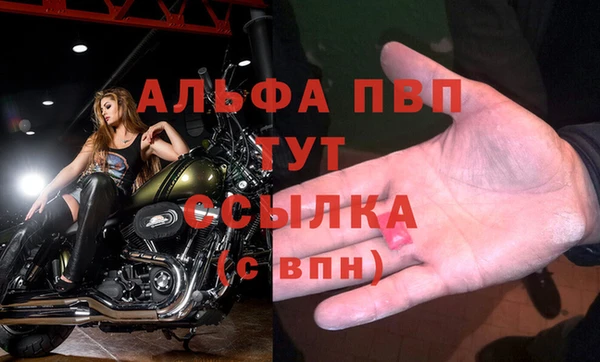 кокс Лабытнанги