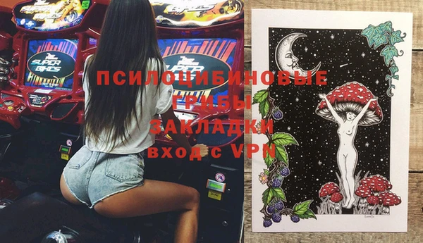 гидра Ладушкин