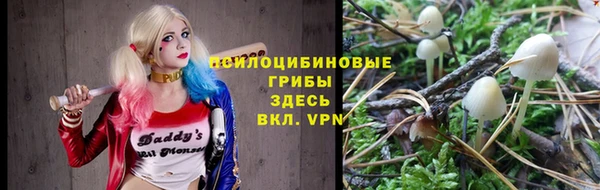 гидра Ладушкин