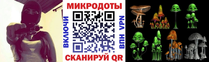как найти наркотики  Дмитриев  Галлюциногенные грибы мицелий 